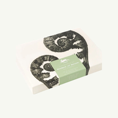 Wonders of Nature Correspondence Set
