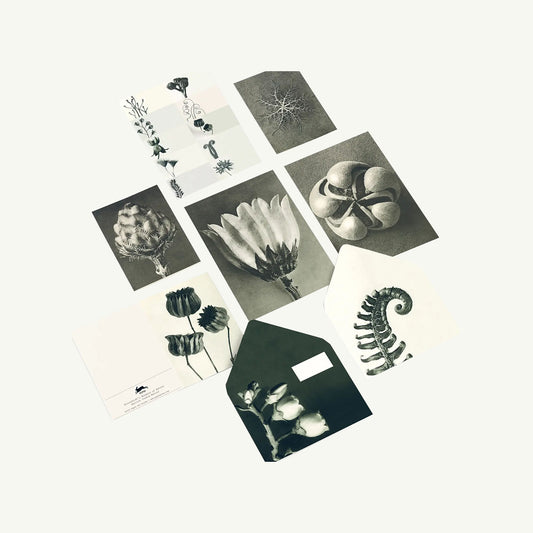 Wonders of Nature Correspondence Set