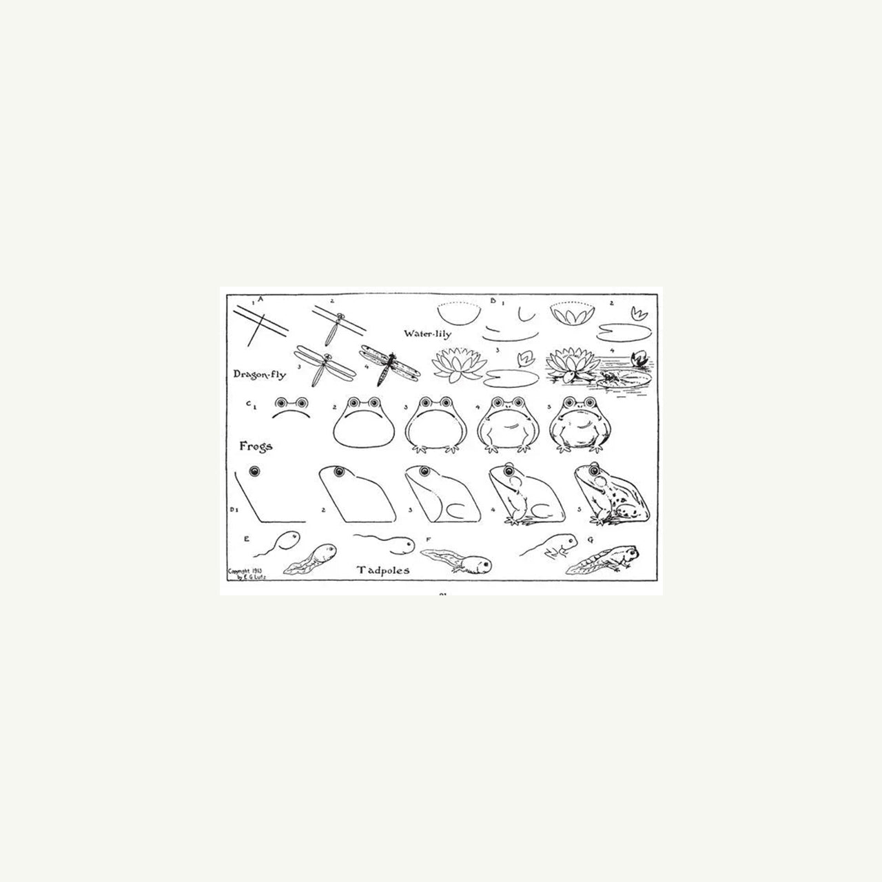 What to Draw and How to Draw It