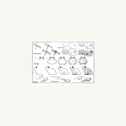 What to Draw and How to Draw It