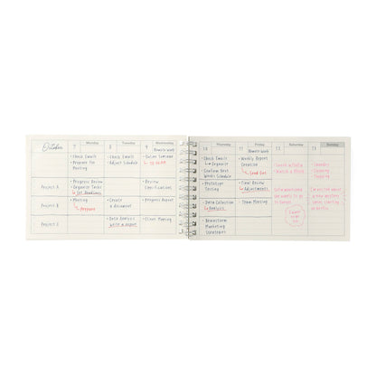 Dayfree Weekly Schedule