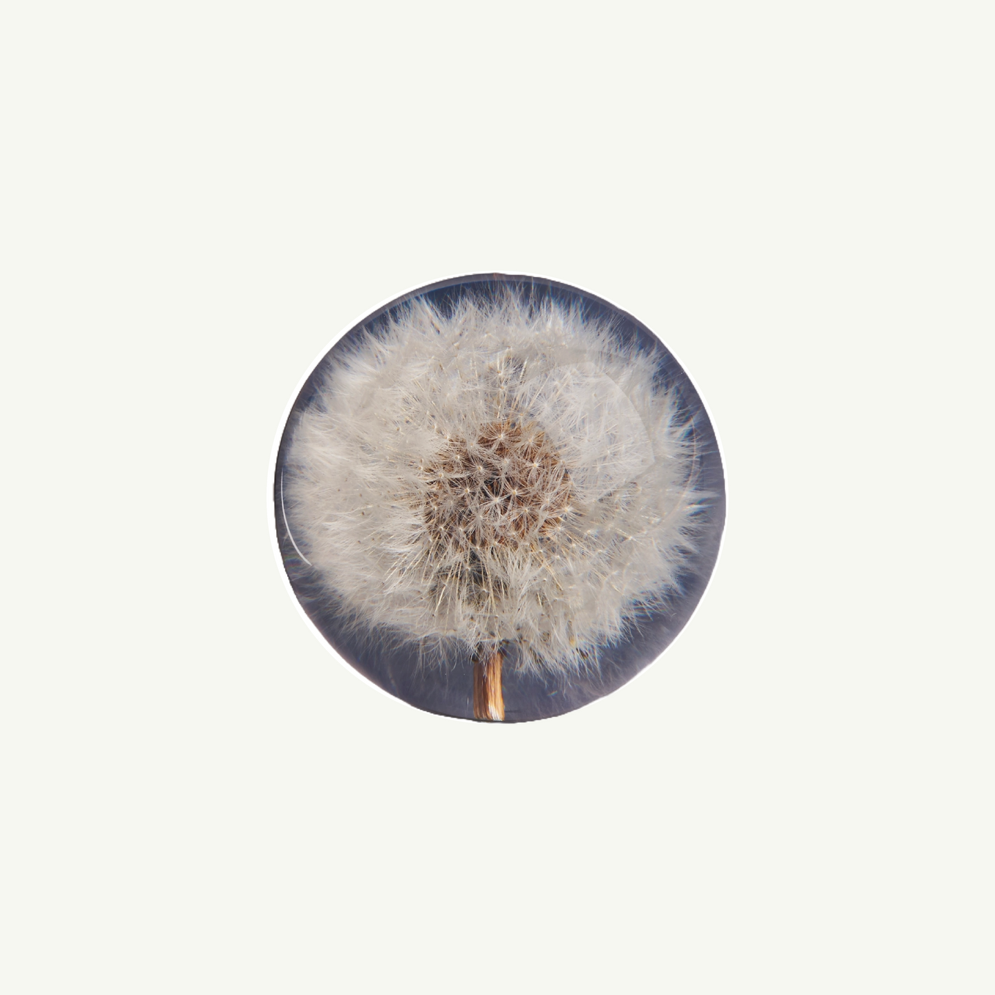 Dandelion Paperweight