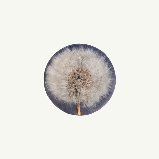 Dandelion Paperweight