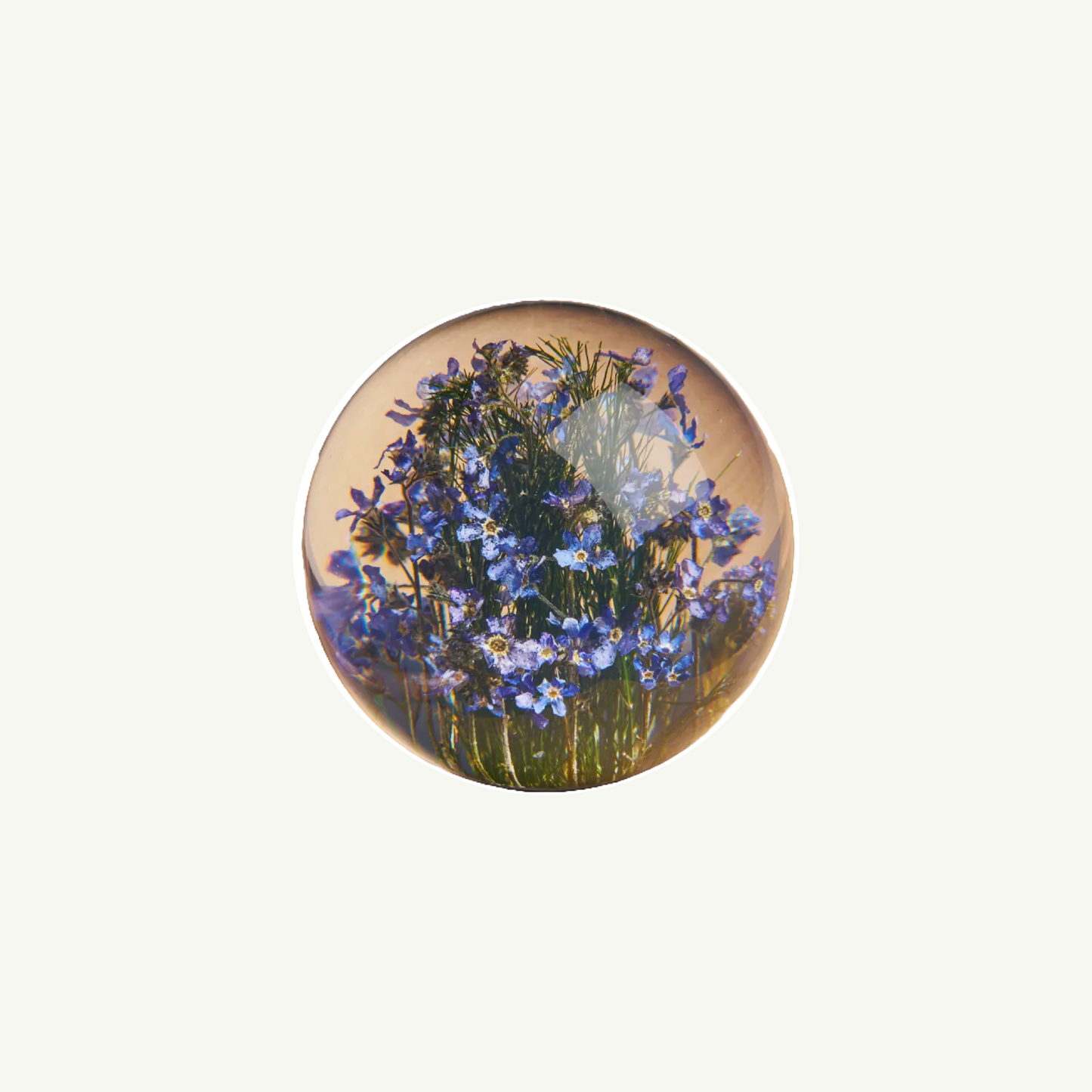 Forget me Not Paperweight