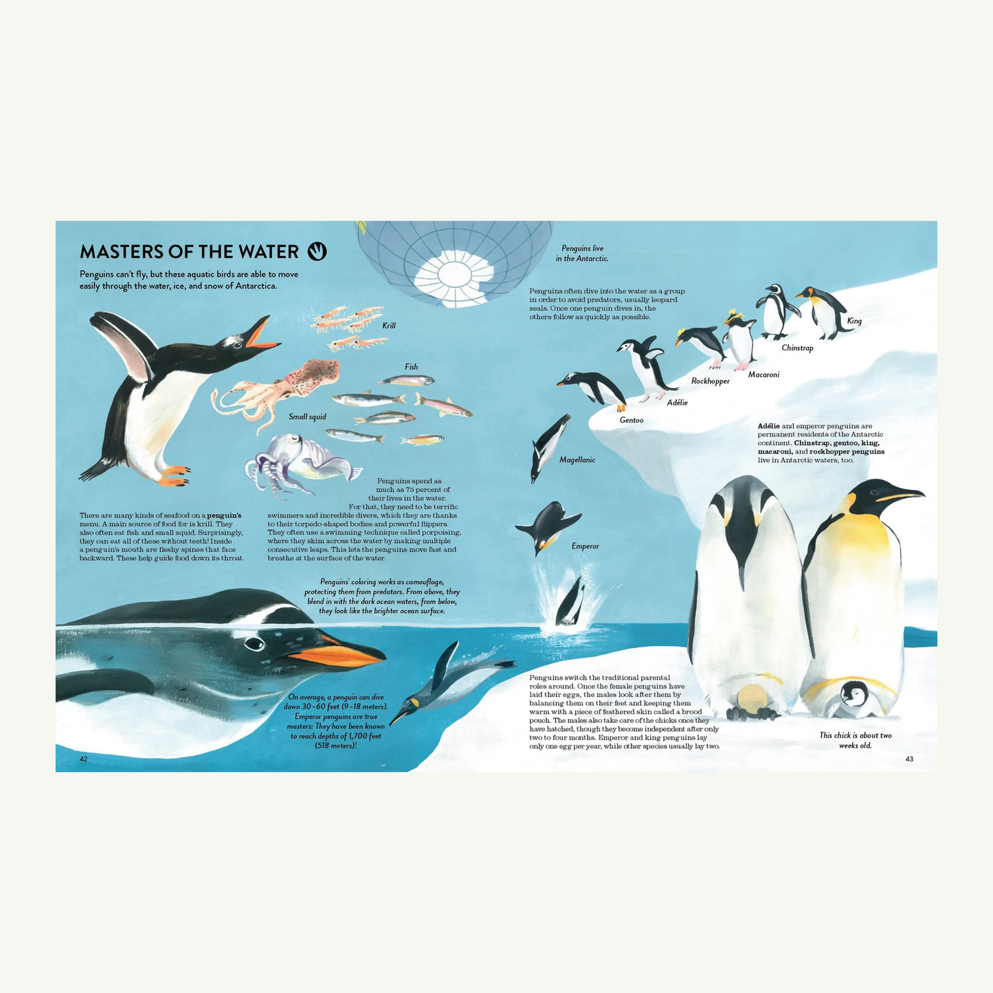 Penguins and Polar Bears
