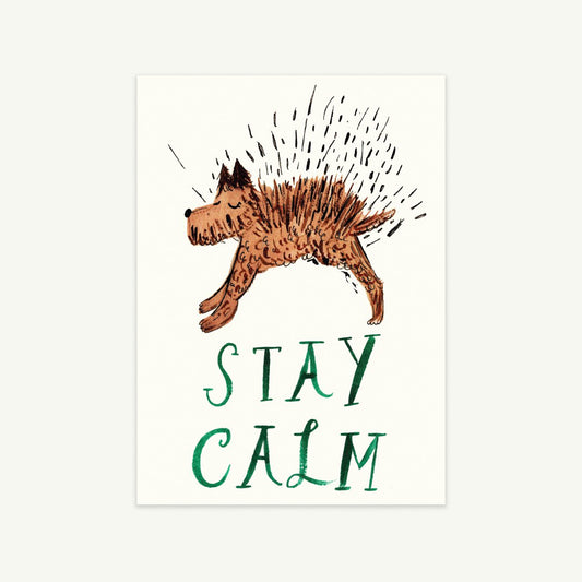 Puppy, Nooo!" A6 folded card by Mr. Boddington's Studio; blank inside for your message.