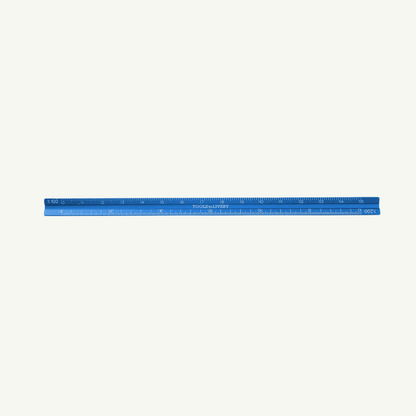 Blue Aluminum Scale