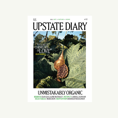 Upstate Diary: Curled brown leaf & pod on green leaves, forest backdrop—independent mag cover.